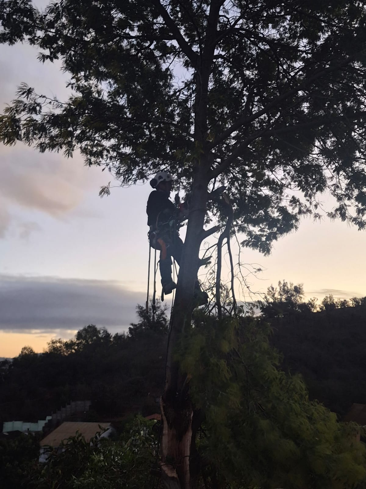 Emergencias 1