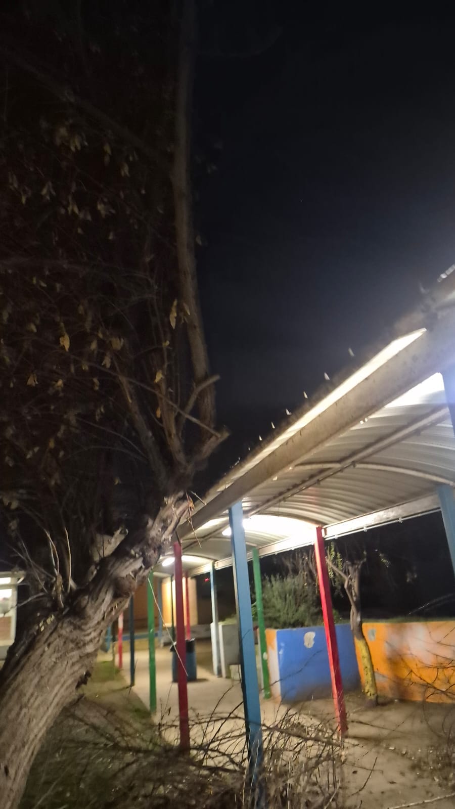 Municipalidad de Quillota 1