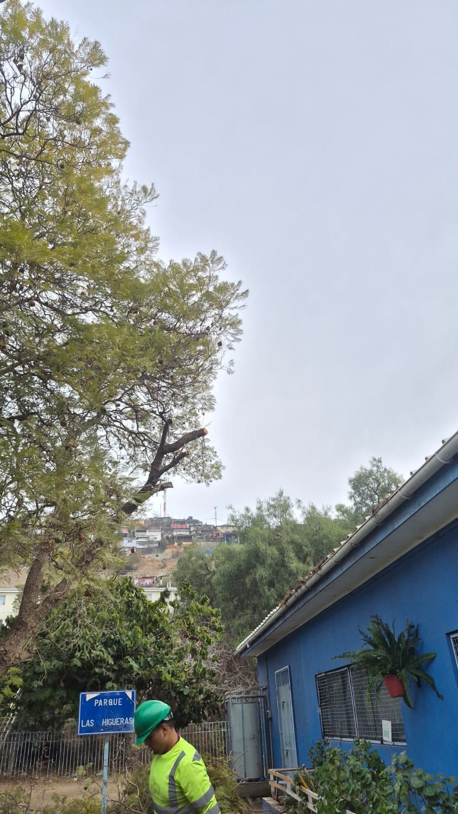 Municipalidad de Quillota 3