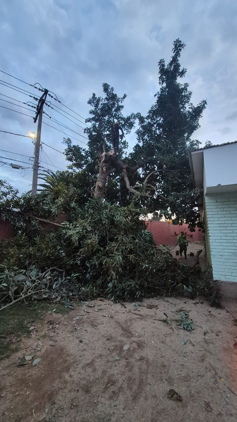 Municipalidad de Quillota 5